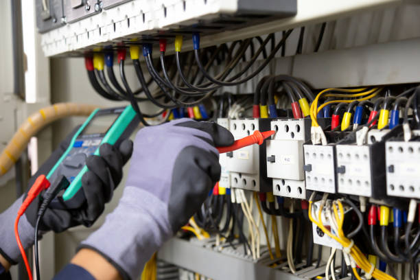 Best Electrical Panel Upgrades  in Dripping Springs, TX